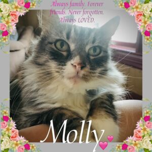 Molly Lucy